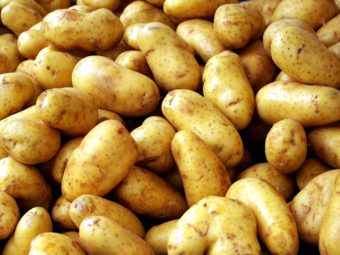 Ингибирование картофеля